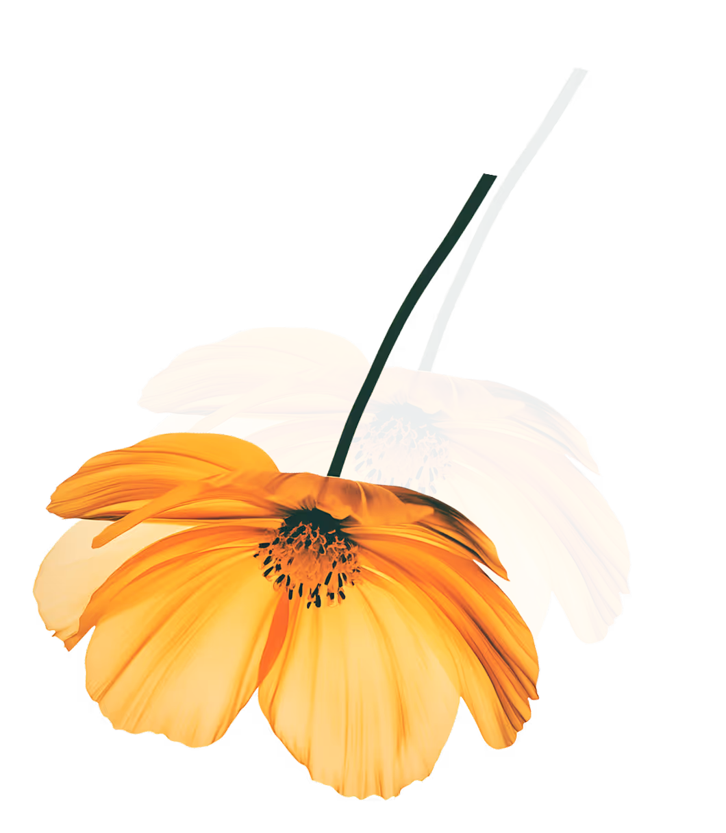 A Hero Flowers BG Image